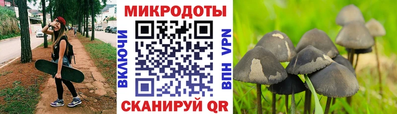 Псилоцибиновые грибы ЛСД KRAKEN ссылки Карабаново
